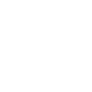 Fuga Eléctrica